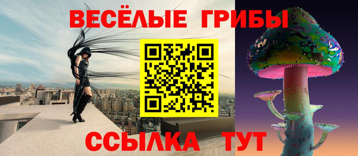 Псилоцибиновые грибы Magic Shrooms Владивосток